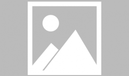 重庆陈先生最新爆料电话,揭秘电话背后的惊人真相