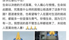 网友爆料坠楼案件最新进展,警方调查深入，疑点逐步揭开