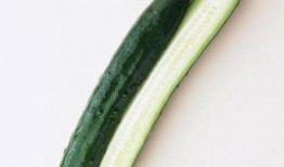 最新黄瓜爆料图片大全,揭秘最新爆料图片大全的时尚风采