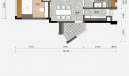 猫萌爆料貂蝉出装最新,猫萌爆料，萌动战场！