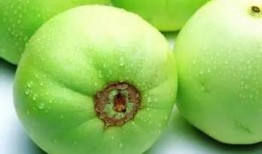 甜瓜最新爆料下载,揭秘娱乐圈幕后真相