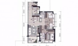 惠州爆料最新消息视频,视频揭露惊人真相！