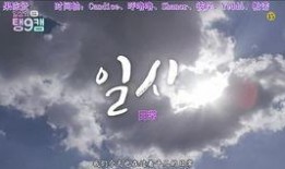 十周年最新爆料视频完整版,十周年最新爆料视频完整版深度解析