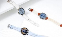 华为gt5手表最新爆料,颠覆传统，智能生活新篇章